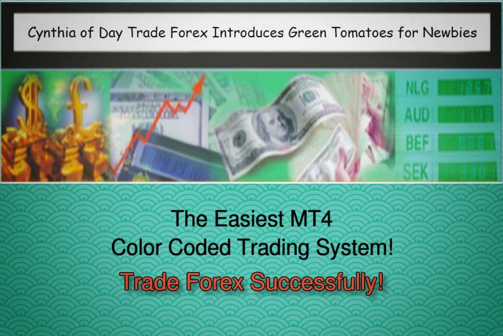 Become Successful Forex Trader