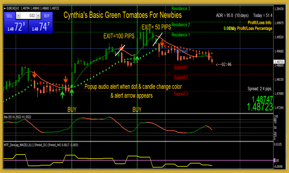 Newbies Forex Trading System